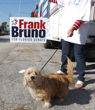 Scruffy the dog pretending to be Bruno